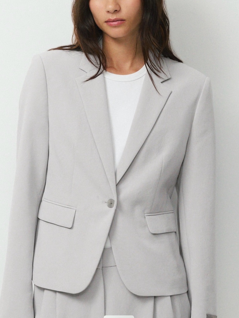Aritzia etiquette blazer -  Gray Single-Button